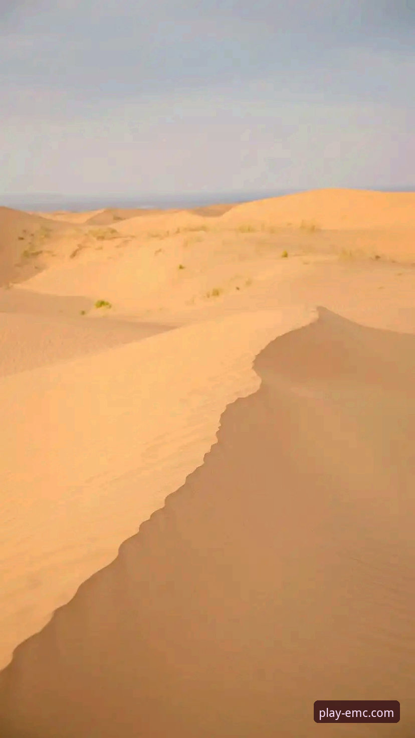 沙漠天堂前的数字困境：从迪拜到印第安维尔斯的路径分析与平台体验深度评测